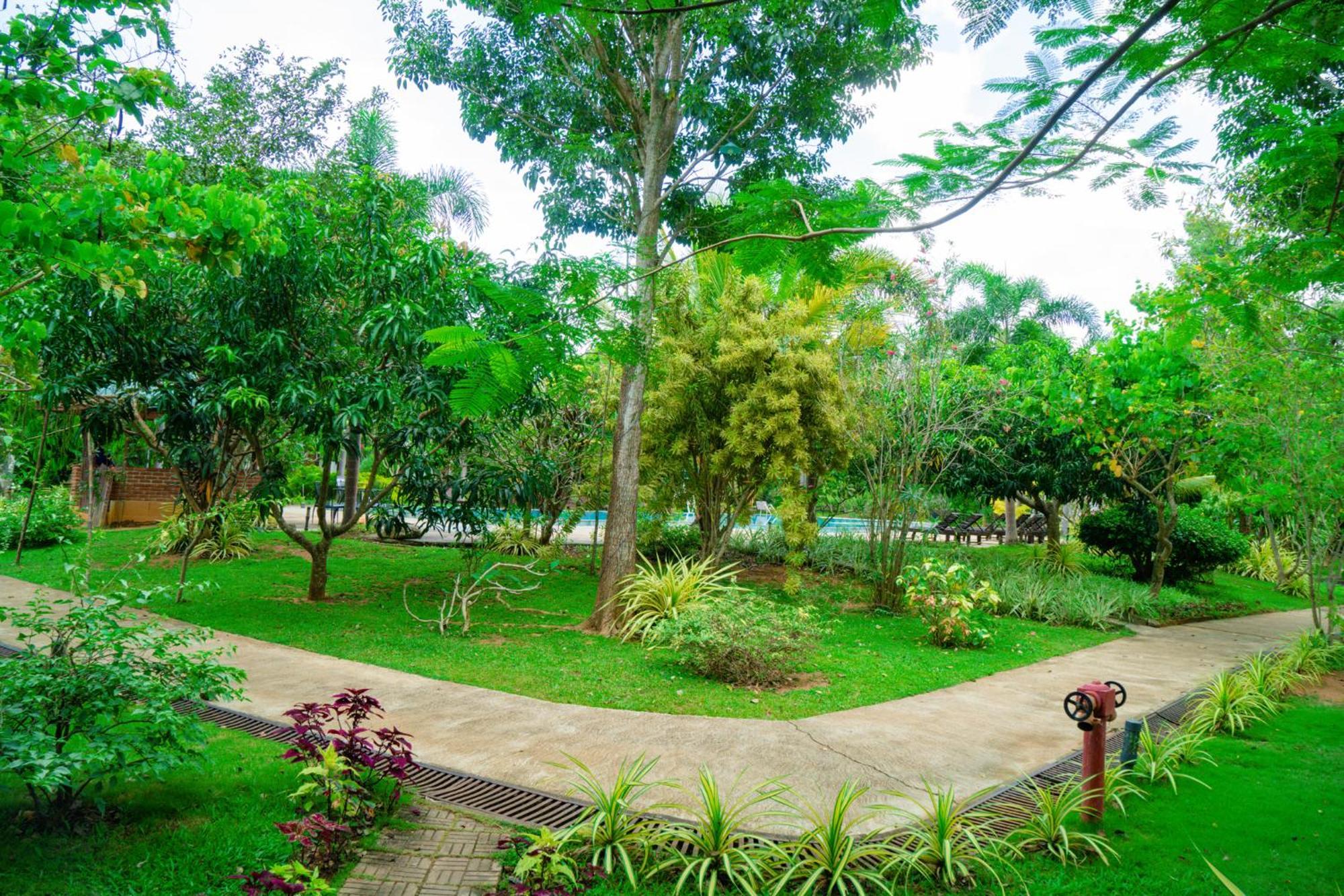 Sungreen Resort Habarana Exterior foto